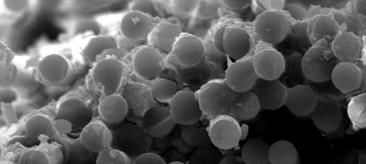 hjc888黄金城--手机版app官网