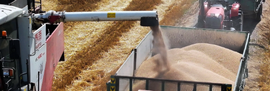 hjc888黄金城--手机版app官网