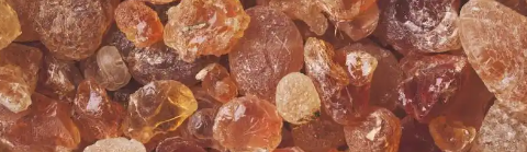 hjc888黄金城--手机版app官网