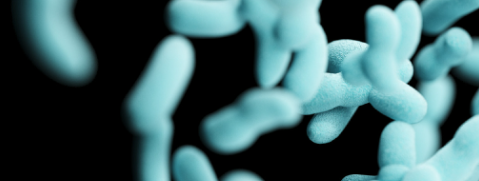 hjc888黄金城--手机版app官网