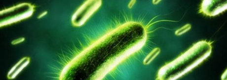 hjc888黄金城--手机版app官网