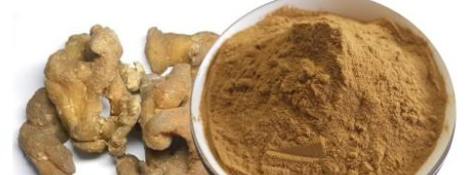 hjc888黄金城--手机版app官网