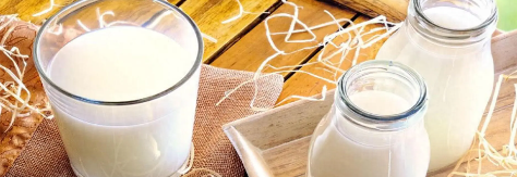 hjc888黄金城--手机版app官网