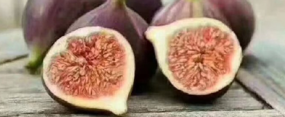 hjc888黄金城--手机版app官网