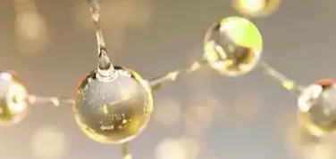 hjc888黄金城--手机版app官网