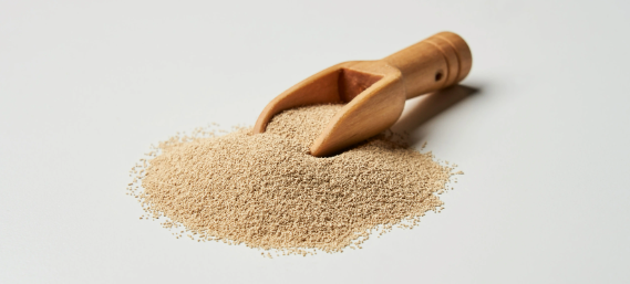 hjc888黄金城--手机版app官网