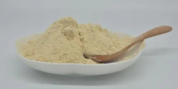 hjc888黄金城--手机版app官网