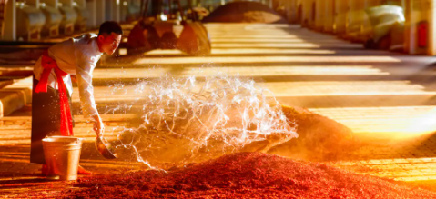 hjc888黄金城--手机版app官网