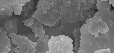 hjc888黄金城--手机版app官网