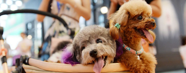 hjc888黄金城--手机版app官网