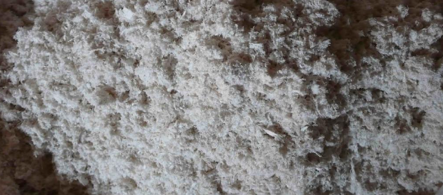 hjc888黄金城--手机版app官网