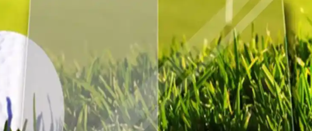 hjc888黄金城--手机版app官网