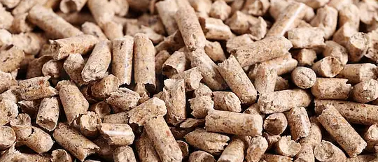 hjc888黄金城--手机版app官网