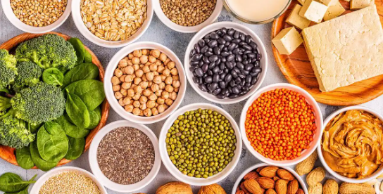 hjc888黄金城--手机版app官网