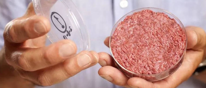 hjc888黄金城--手机版app官网