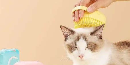 hjc888黄金城--手机版app官网