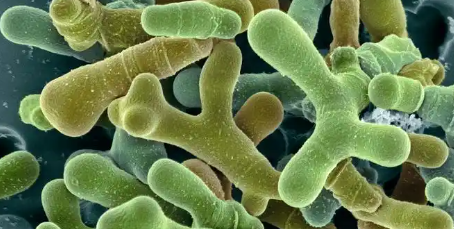 hjc888黄金城--手机版app官网