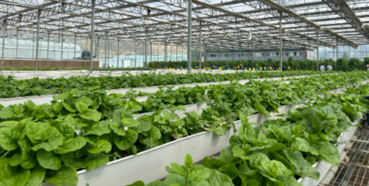 hjc888黄金城--手机版app官网