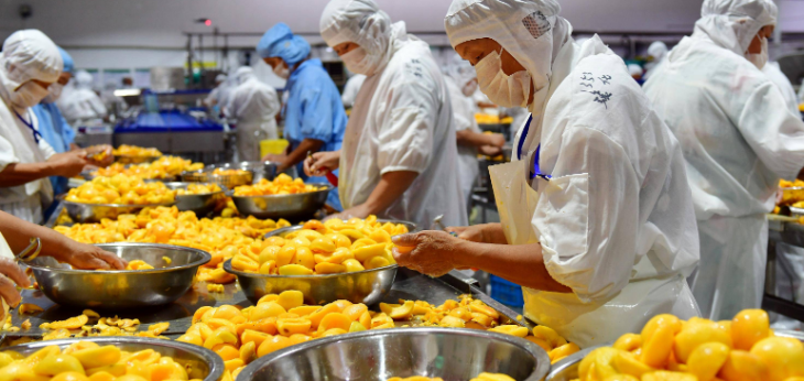 hjc888黄金城--手机版app官网