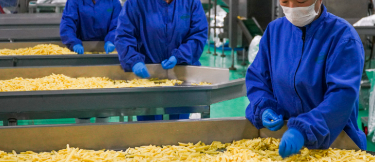 hjc888黄金城--手机版app官网