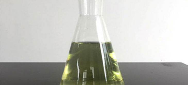 hjc888黄金城--手机版app官网