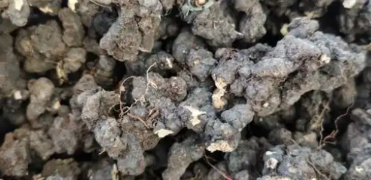 hjc888黄金城--手机版app官网