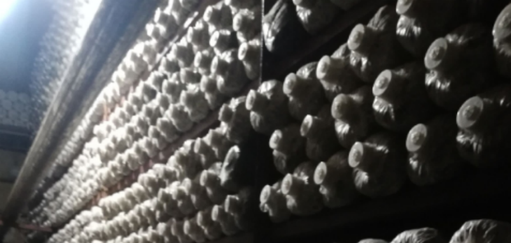 hjc888黄金城--手机版app官网