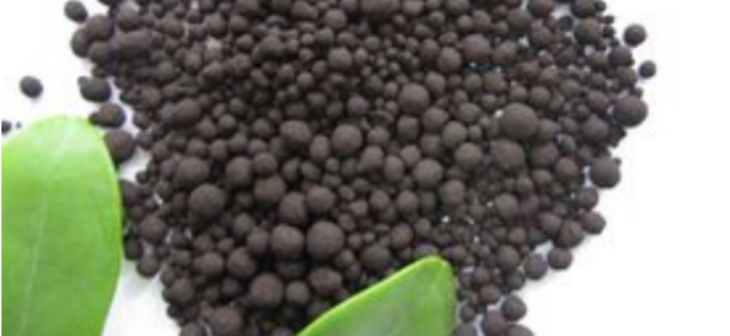 hjc888黄金城--手机版app官网