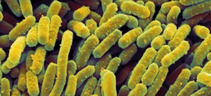 hjc888黄金城--手机版app官网