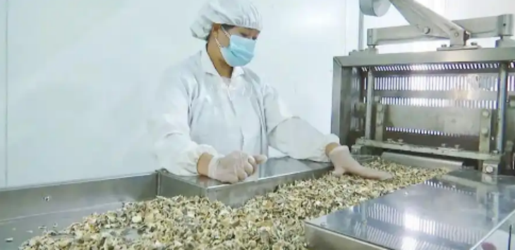 hjc888黄金城--手机版app官网