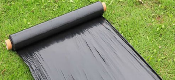 hjc888黄金城--手机版app官网