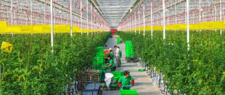 hjc888黄金城--手机版app官网