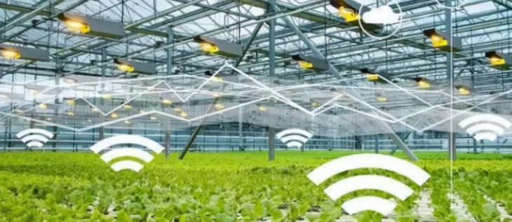 hjc888黄金城--手机版app官网