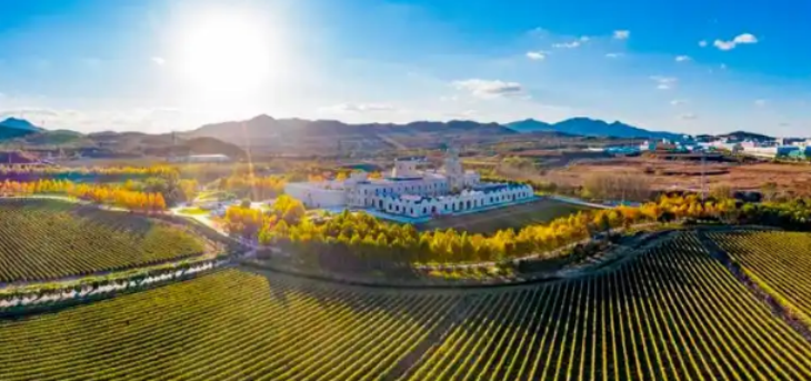 hjc888黄金城--手机版app官网