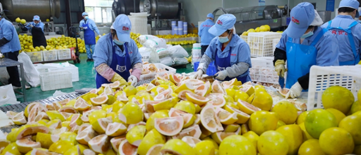 hjc888黄金城--手机版app官网