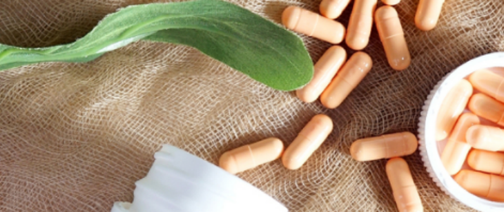 hjc888黄金城--手机版app官网