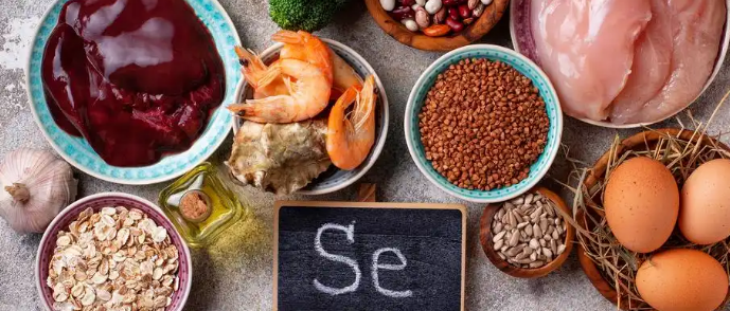 hjc888黄金城--手机版app官网