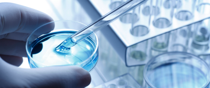 hjc888黄金城--手机版app官网