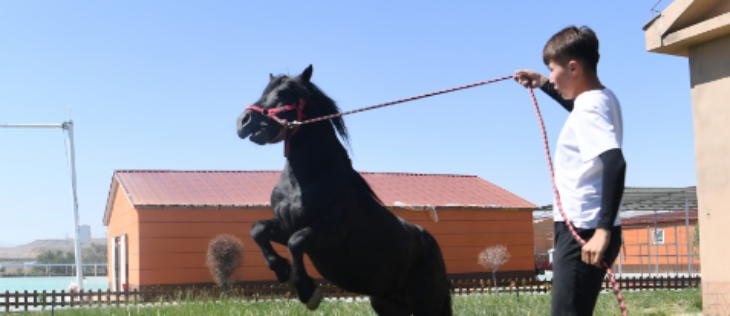 hjc888黄金城--手机版app官网