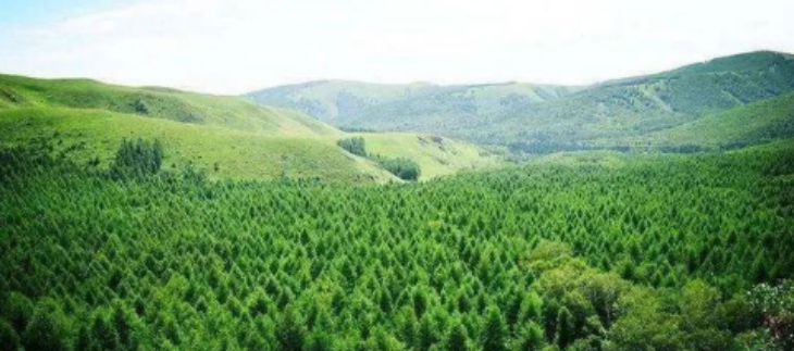 hjc888黄金城--手机版app官网