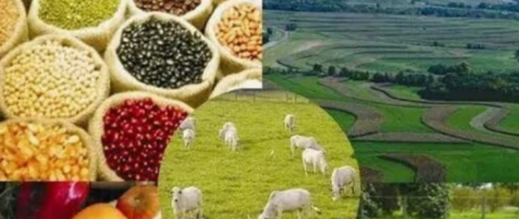 hjc888黄金城--手机版app官网