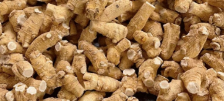 hjc888黄金城--手机版app官网