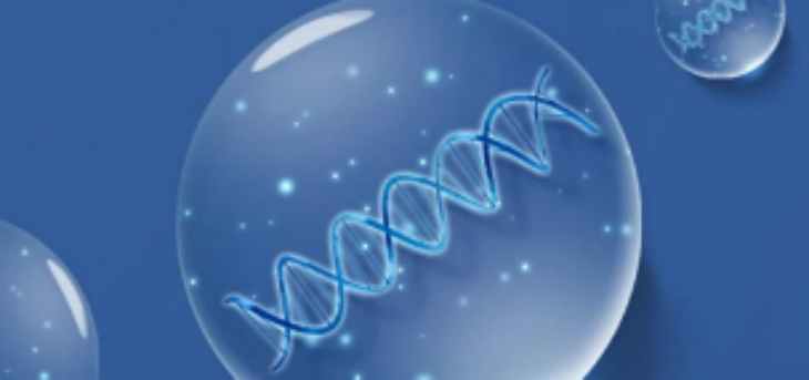 hjc888黄金城--手机版app官网