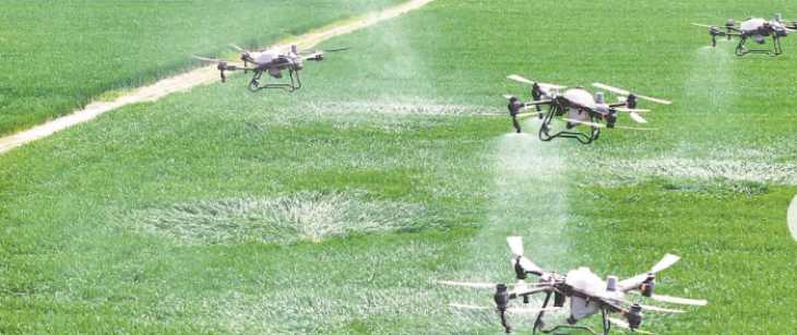 hjc888黄金城--手机版app官网