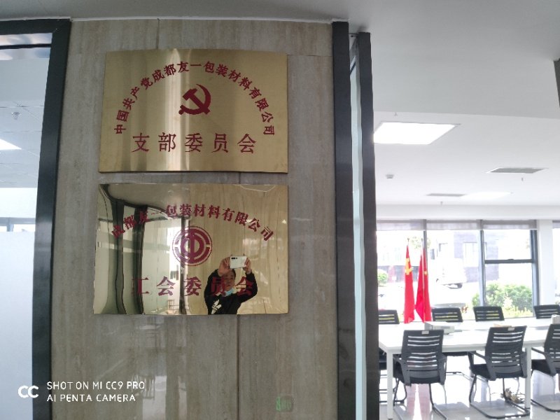 热烈祝贺Z6尊龙凯时集团成都分公司党支部在2020年3月11日授牌成立，支部书记曹云(行政部经理)